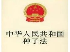 新《種子法》自2022年3月1日起施行